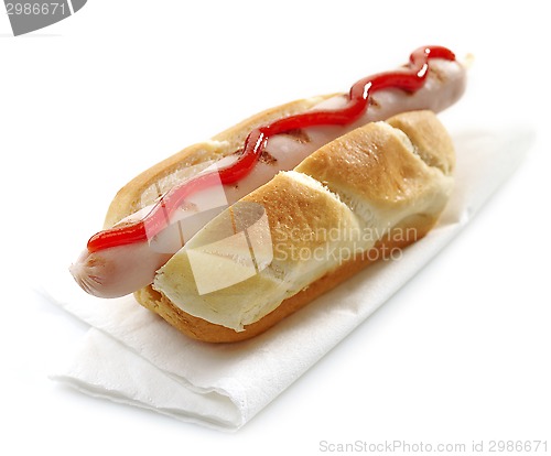 Image of hot dog with ketchup