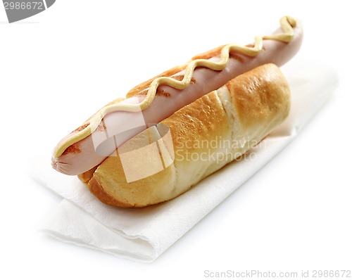 Image of hot dog with mustard