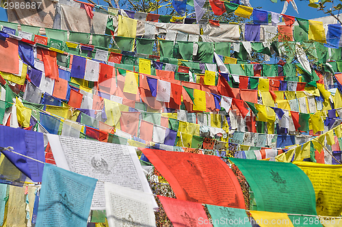 Image of Buddhist prayer flags in  Dharamshala, India