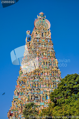 Image of Meenakshi Amman Temple