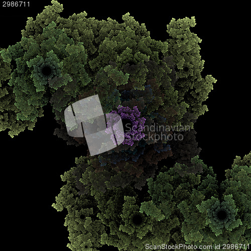 Image of Symmetrical growth of bacteria