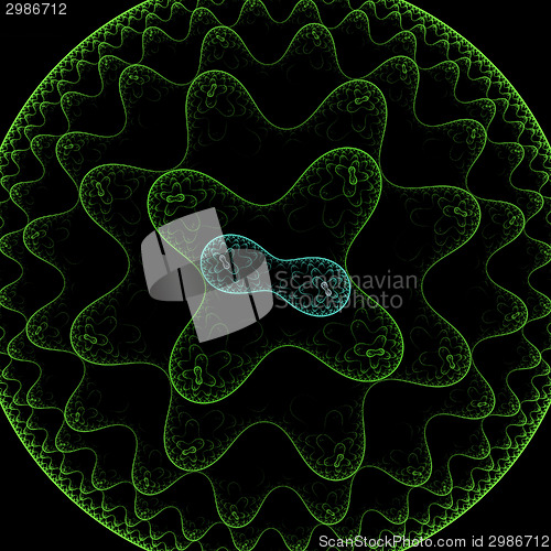 Image of Symmetrical growth of bacteria