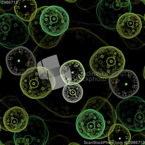 Image of Symmetrical growth of bacteria