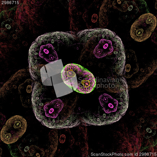 Image of Symmetrical growth of bacteria