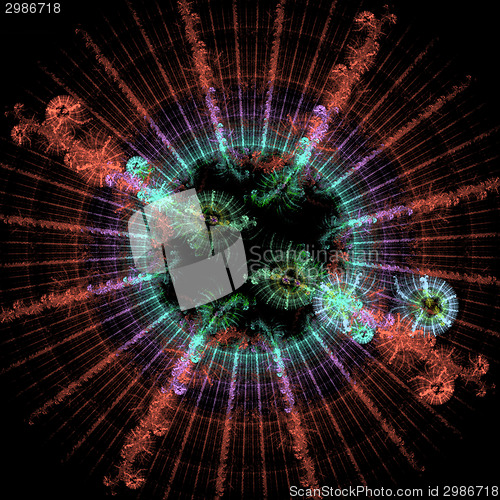 Image of Symmetrical growth of bacteria