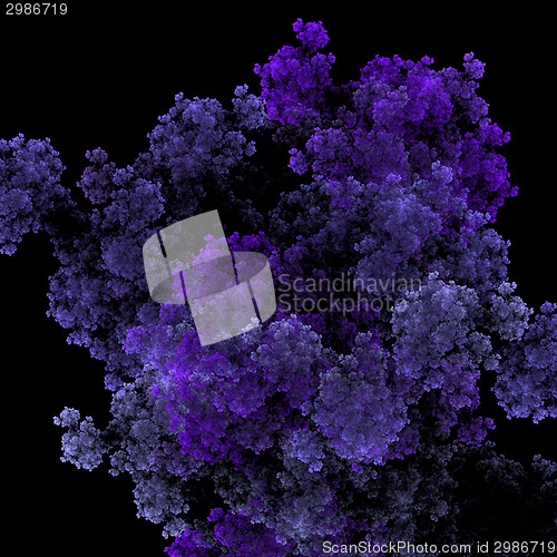 Image of Symmetrical growth of bacteria