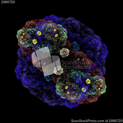 Image of Symmetrical growth of bacteria