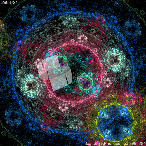 Image of Symmetrical growth of bacteria