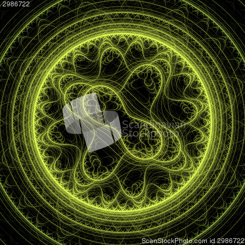 Image of Symmetrical growth of bacteria