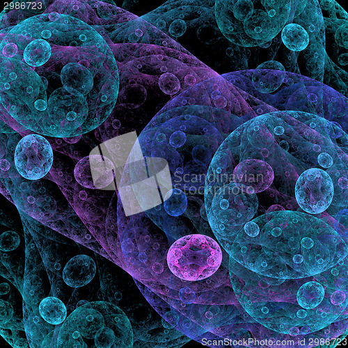 Image of Symmetrical growth of bacteria