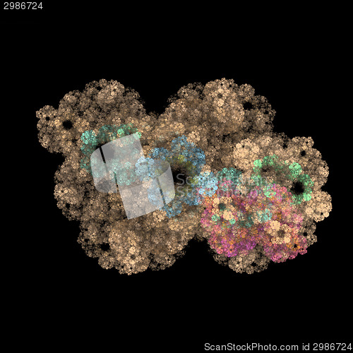 Image of Symmetrical growth of bacteria