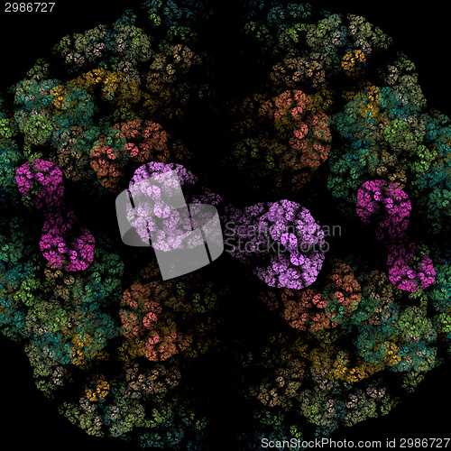 Image of Symmetrical growth of bacteria