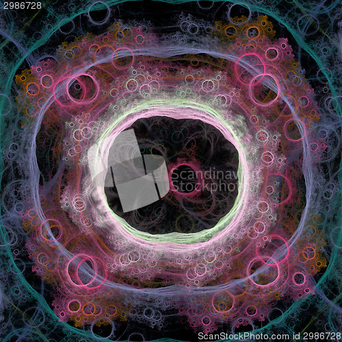 Image of Symmetrical growth of bacteria