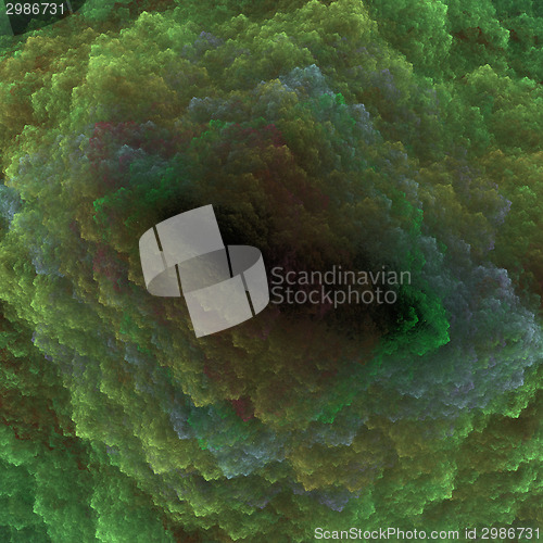 Image of Symmetrical growth of bacteria