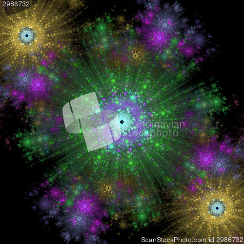 Image of Symmetrical growth of bacteria