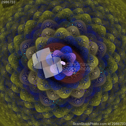 Image of Symmetrical growth of bacteria