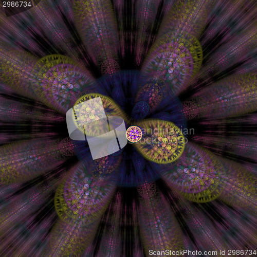 Image of Symmetrical growth of bacteria