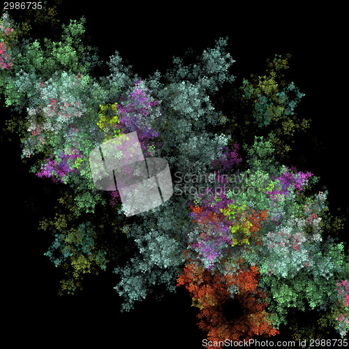 Image of Symmetrical growth of bacteria