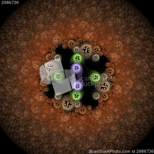 Image of Symmetrical growth of bacteria