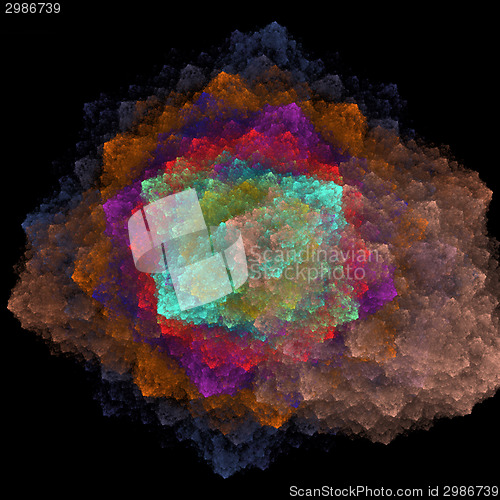 Image of Symmetrical growth of bacteria