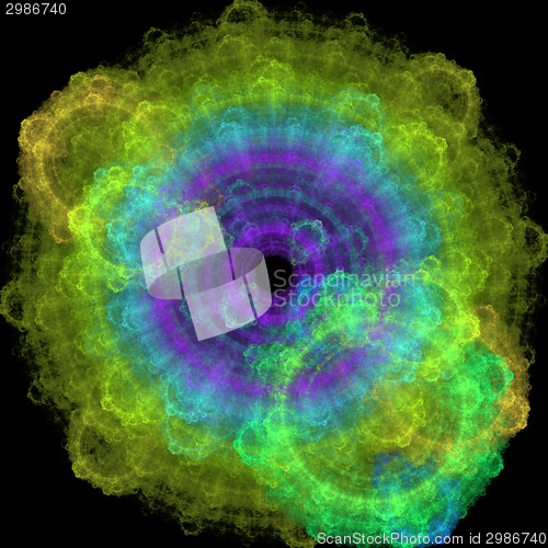 Image of Symmetrical growth of bacteria