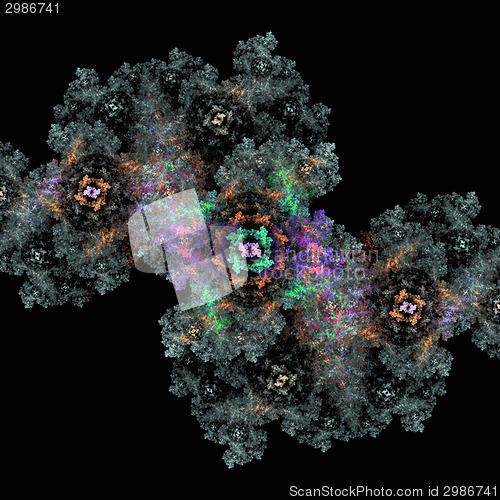 Image of Symmetrical growth of bacteria