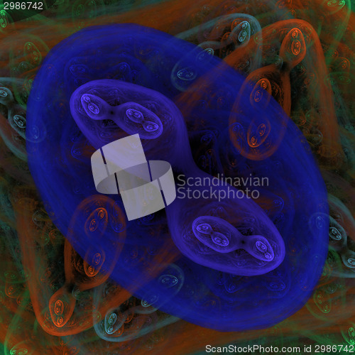 Image of Symmetrical growth of bacteria