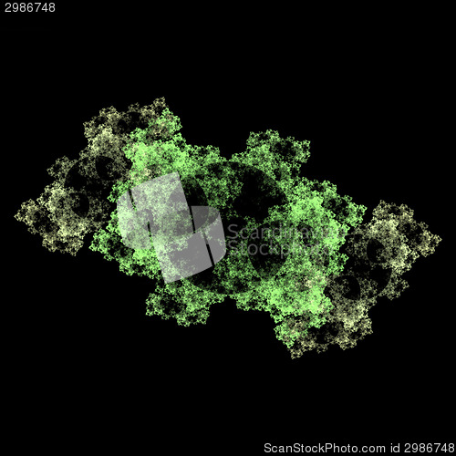 Image of Symmetrical growth of bacteria