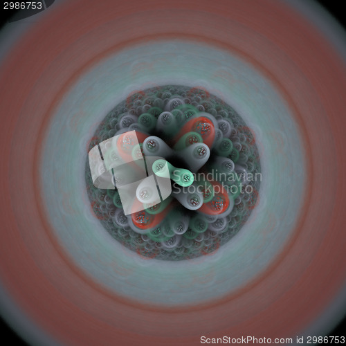 Image of Symmetrical growth of bacteria