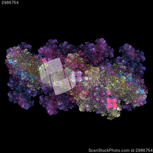 Image of Symmetrical growth of bacteria