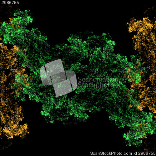 Image of Symmetrical growth of bacteria