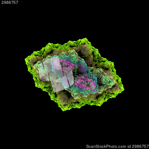 Image of Symmetrical growth of bacteria