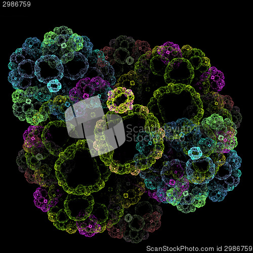 Image of Symmetrical growth of bacteria