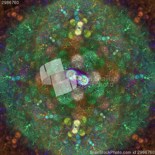 Image of Symmetrical growth of bacteria