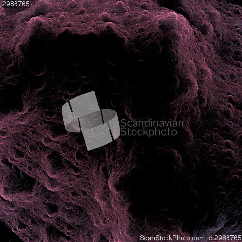 Image of Symmetrical growth of bacteria