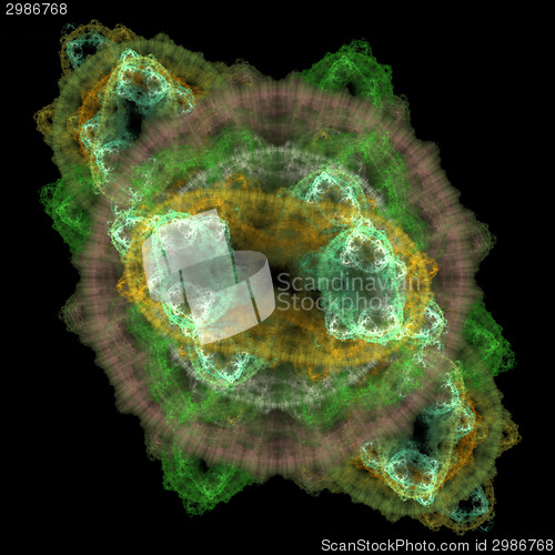 Image of Symmetrical growth of bacteria