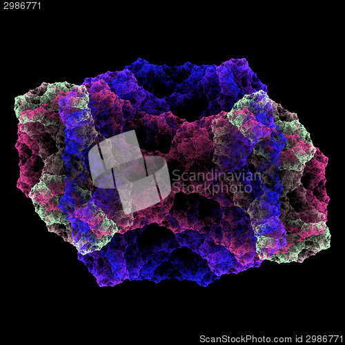 Image of Symmetrical growth of bacteria