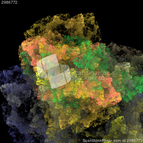 Image of Symmetrical growth of bacteria