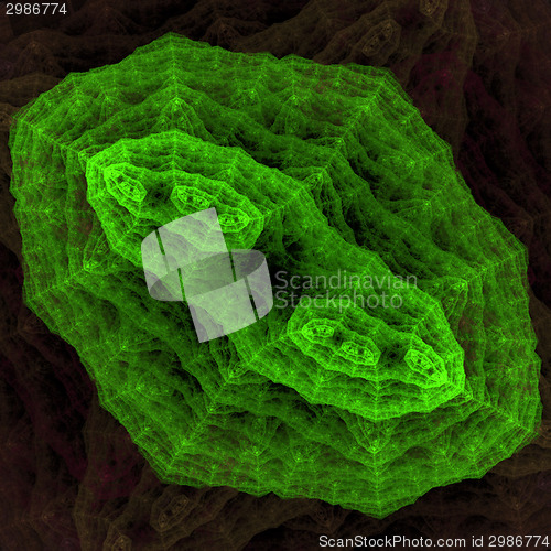 Image of Symmetrical growth of bacteria