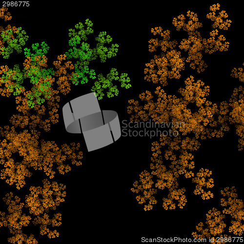 Image of Symmetrical growth of bacteria