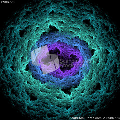 Image of Symmetrical growth of bacteria