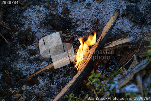 Image of Flame on the ground