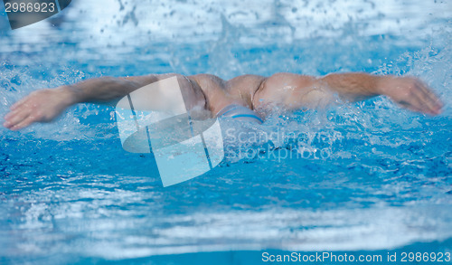 Image of swimmer athlete