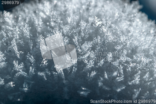 Image of Rime