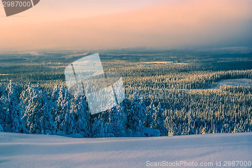 Image of Sunset over a forest