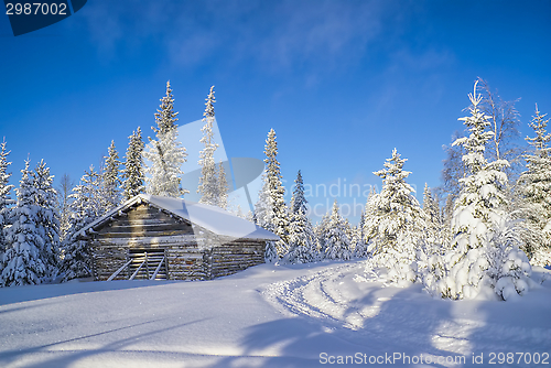 Image of Cottage in the forest