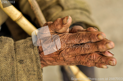 Image of Senior with wrinkled hands