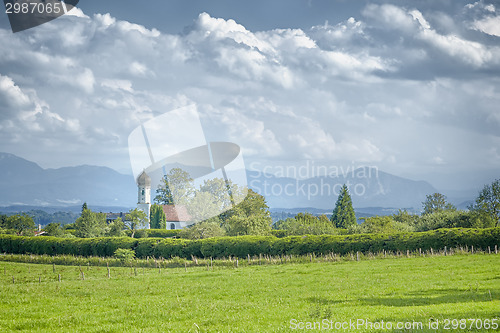 Image of ilka height