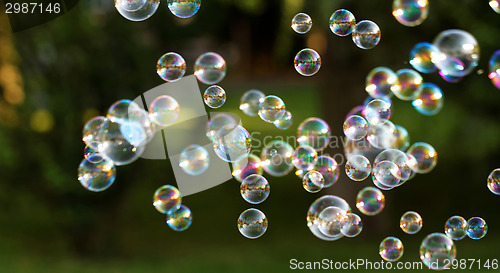 Image of Soap bubbles