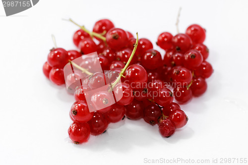 Image of Red currant